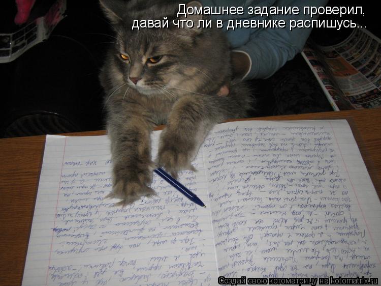 Котоматрица: Домашнее задание проверил, давай что ли в дневнике распишусь...