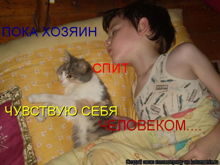 Котоматрица: ПОКА ХОЗЯИН СПИТ ЧУВСТВУЮ СЕБЯ  ЧЕЛОВЕКОМ....