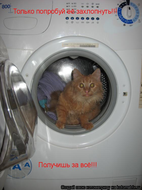 Котоматрица: Только попробуй её захлопнуть!!! Получишь за всё!!!