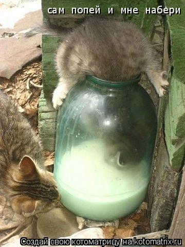 Котоматрица: сам  попей  и  мне  набери