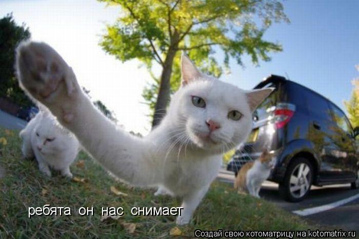 Котоматрица: ребята  он  нас  снимает