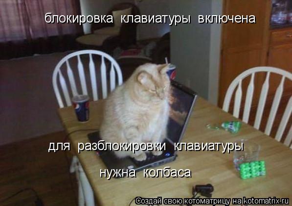 Котоматрица: блокировка  клавиатуры  включена для  разблокировки  клавиатуры нужна  колбаса