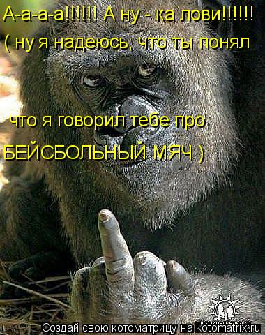 Котоматрица: А-а-а-а!!!!!! А ну - ка лови!!!!!! ( ну я надеюсь, что ты понял что я говорил тебе про БЕЙСБОЛЬНЫЙ МЯЧ )