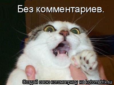 Котоматрица: Без комментариев.