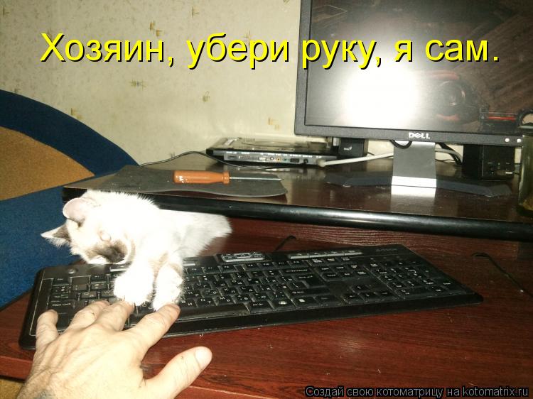 Котоматрица: Хозяин, убери руку, я сам.