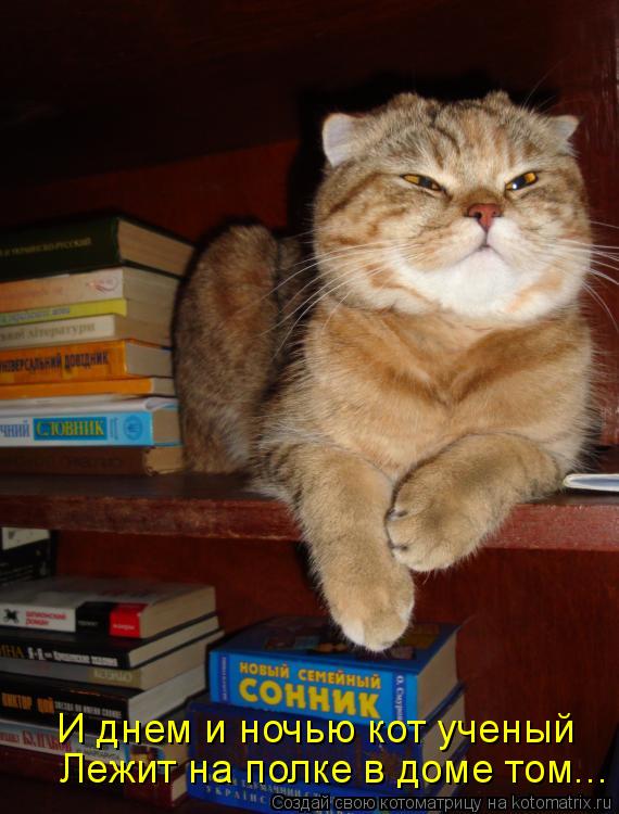 Котоматрица: И днем и ночью кот ученый Лежит на полке в доме том...