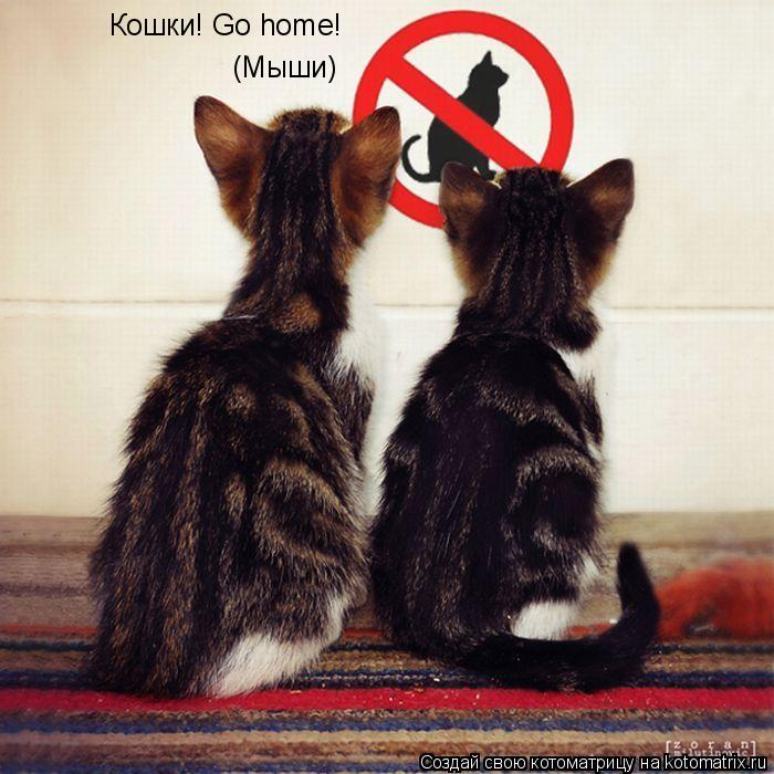 Котоматрица: Кошки! Go home! (Мыши)