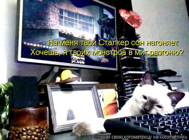 Котоматрица: - На меня твой Сталкер сон нагоняет. Хочешь, я твоих монстров в миг разгоню?