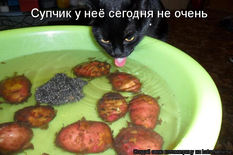 Котоматрица: Супчик у неё сегодня не очень