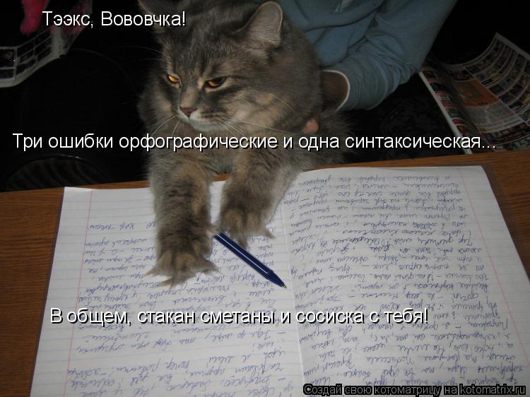 Котоматрица: Тээкс, Вововчка! Три ошибки орфографические и одна синтаксическая... В общем, стакан сметаны и сосиска с тебя!
