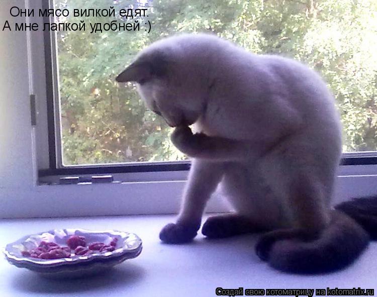 Котоматрица: Они мясо вилкой едят. А мне лапкой удобней :)