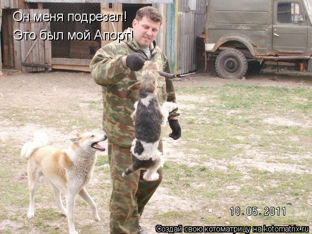 Котоматрица: Он меня подрезал! Это был мой Апорт!