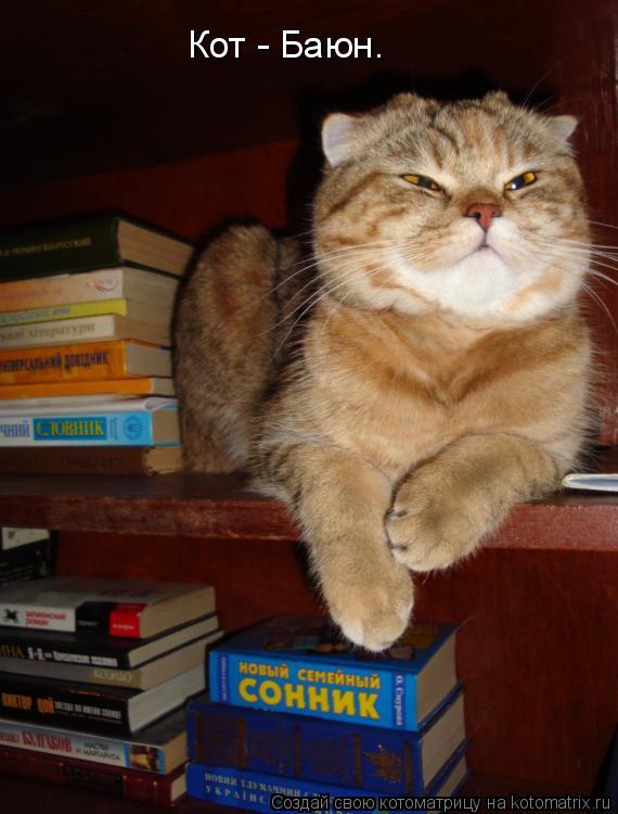 Котоматрица: Кот - Баюн.