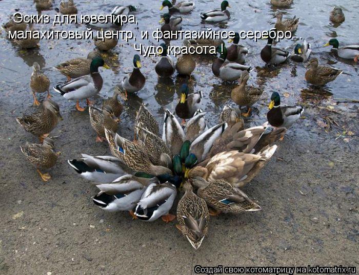 Котоматрица: Эскиз для ювелира, малахитовый центр, и фантазийное серебро... Чудо красота !