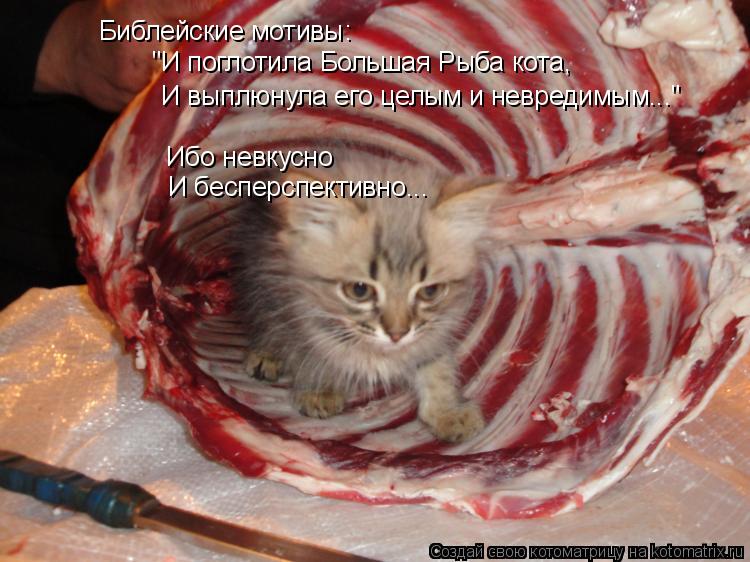 Котоматрица: Библейские мотивы: "И поглотила Большая Рыба кота, И выплюнула его целым и невредимым..." Ибо невкусно И бесперспективно...