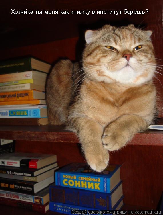 Котоматрица: Хозяйка ты меня как книжку в институт берёшь?