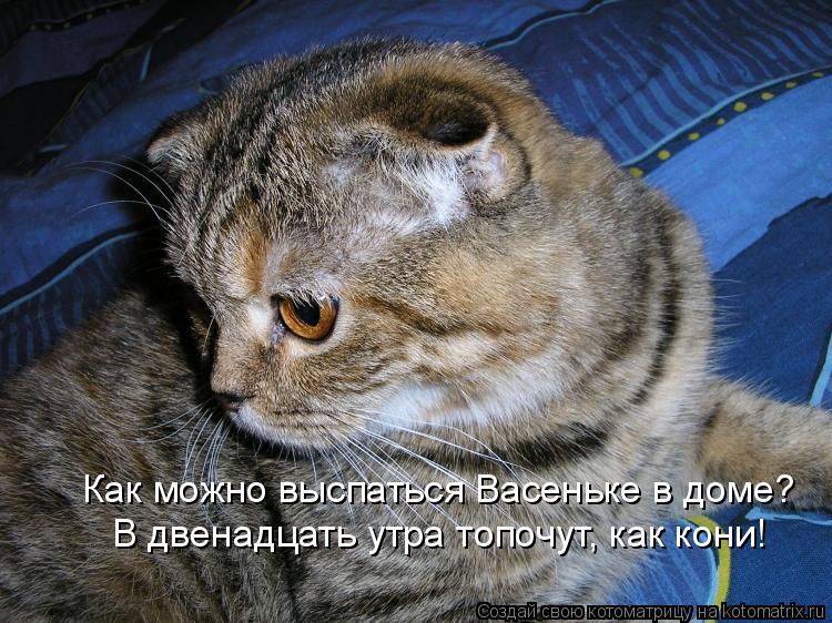 Как можно выспаться Васеньке в доме? В двенадцать утра топочут, как кони!... Котоматрица: Как можно выспаться Васеньке в доме? В двенадцать утра топочут, как кони!