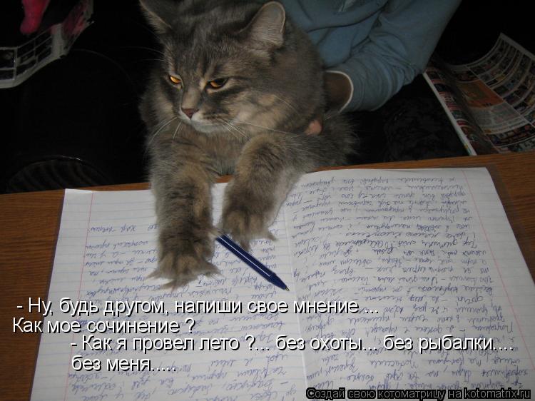 Котоматрица: - Ну, будь другом, напиши свое мнение ... Как мое сочинение ? - Как я провел лето ?... без охоты... без рыбалки.... без меня.....
