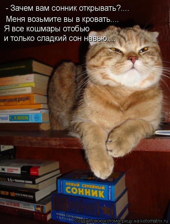 Котоматрица: - Зачем вам сонник открывать?.... Меня возьмите вы в кровать.... Я все кошмары отобью и только сладкий сон навью....