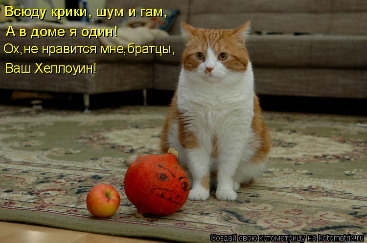 Всюду крики, шум и гам, А в доме я один! Ох,не нравится мне,братцы, Ваш Хеллоуин!... Котоматрица: Всюду крики, шум и гам, А в доме я один! Ох,не нравится мне,братцы, Ваш Хеллоуин!