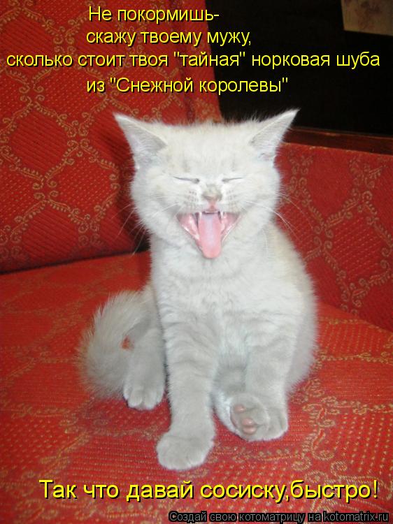 Котоматрица: Не покормишь-  скажу твоему мужу, сколько стоит твоя "тайная" норковая шуба  из "Снежной королевы"  Так что давай сосиску,быстро!