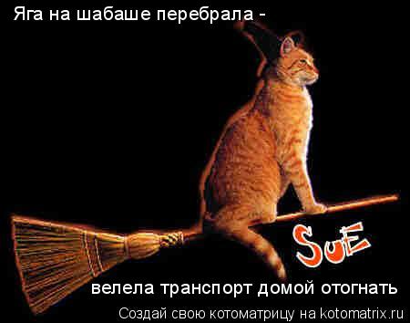 Котоматрица: Яга на шабаше перебрала - велела транспорт домой отогнать