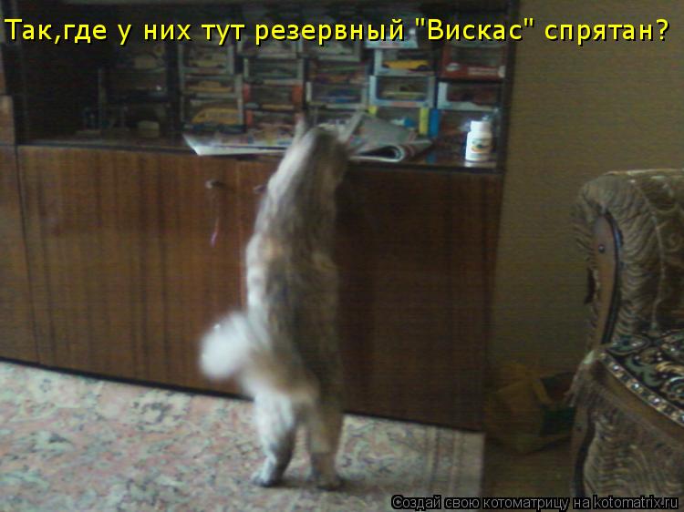 Котоматрица: Так,где у них тут резервный "Вискас" спрятан?