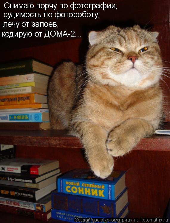 Котоматрица: Снимаю порчу по фотографии, судимость по фотороботу, лечу от запоев, кодирую от ДОМА-2...