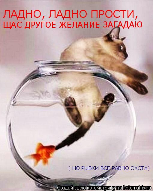 Котоматрица: ЛАДНО, ЛАДНО ПРОСТИ, ЩАС ДРУГОЕ ЖЕЛАНИЕ  ЗАГАДАЮ  ( НО РЫБКИ ВСЕ РАВНО ОХОТА)