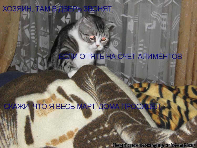 Котоматрица: ХОЗЯИН, ТАМ В ДВЕРЬ ЗВОНЯТ, ЕСЛИ ОПЯТЬ НА СЧЕТ АЛИМЕНТОВ СКАЖИ, ЧТО Я ВЕСЬ МАРТ, ДОМА ПРОСИДЕЛ.