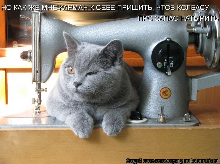 Котоматрица: НО КАК ЖЕ МНЕ КАРМАН К СЕБЕ ПРИШИТЬ, ЧТОБ КОЛБАСУ ПРО ЗАПАС НАТЫРИТЬ