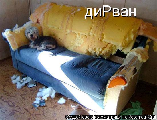 диРван... Котоматрица: диРван