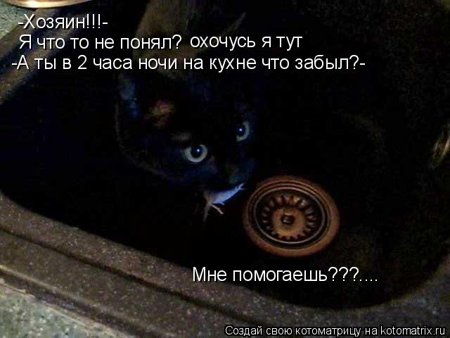 Котоматрица: -Хозяин!!!- Я что то не понял? охочусь я тут Мне помогаешь???.... -А ты в 2 часа ночи на кухне что забыл?-