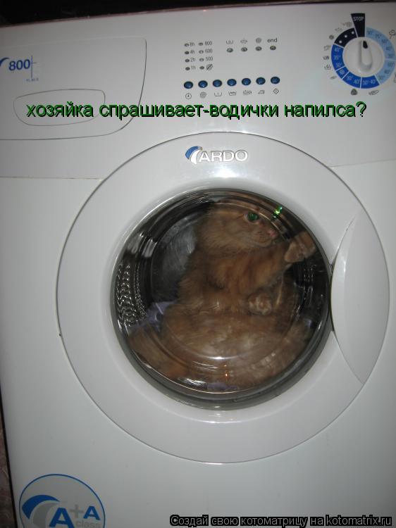 Котоматрица: хозяйка спрашивает-водички напилса?