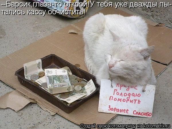 Котоматрица: --Барсик,глаза-то открой!У тебя уже дважды пы- тались кассу обчистить!