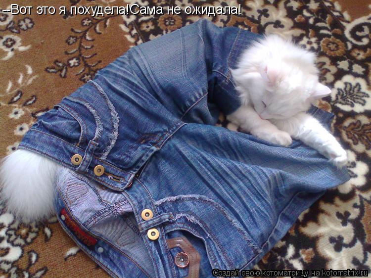 Котоматрица: --Вот это я похудела!Сама не ожидала!