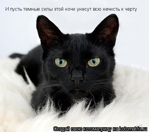 Котоматрица: И пусть темные силы этой ночи унесут всю нечисть к черту