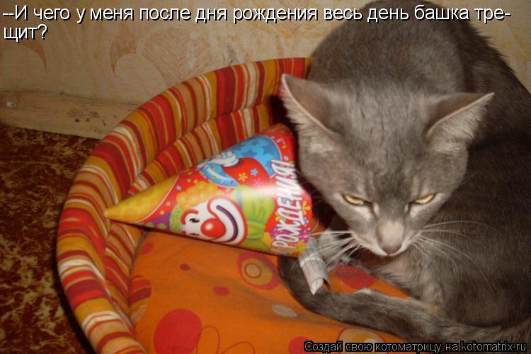 Котоматрица: --И чего у меня после дня рождения весь день башка тре- щит?