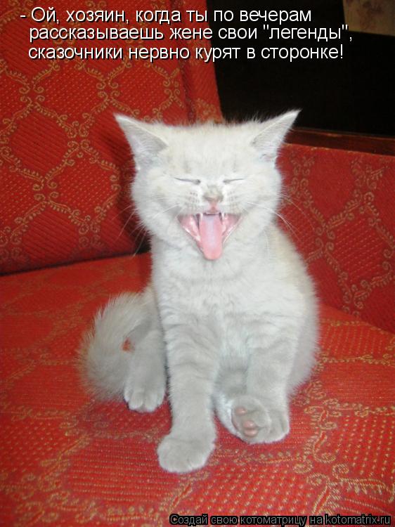- Ой, хозяин, когда ты по вечерам рассказываешь жене свои "легенды", сказочники нервно курят в сторо... Котоматрица: - Ой, хозяин, когда ты по вечерам рассказываешь жене свои "легенды", сказочники нервно курят в сторонке!