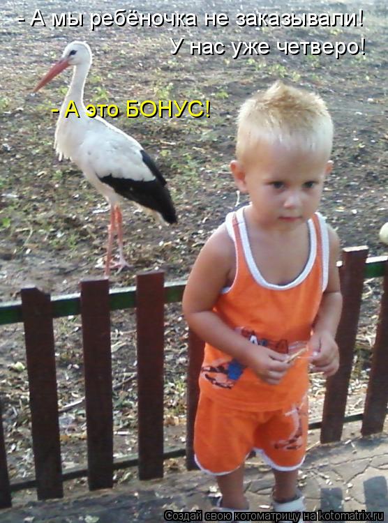 - А мы ребёночка не заказывали! - А это БОНУС! У нас уже четверо!... Котоматрица: - А мы ребёночка не заказывали! - А это БОНУС! У нас уже четверо!