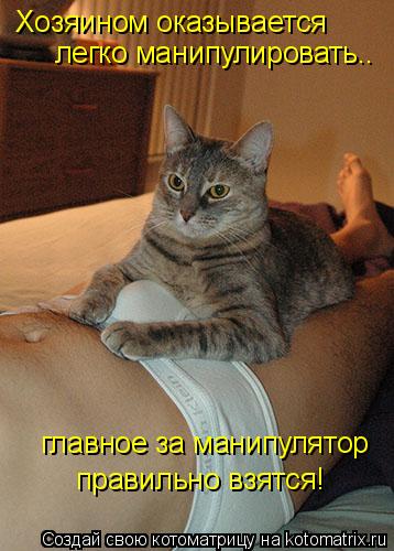 Котоматрица: Хозяином оказывается легко манипулировать.. главное за манипулятор правильно взятся!