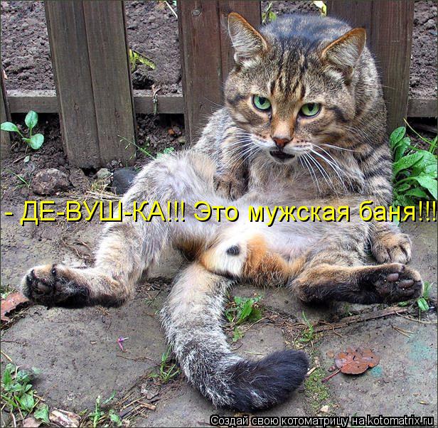 Котоматрица: - ДЕ-ВУШ-КА!!! Это мужская баня!!!