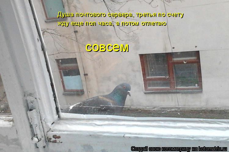 Котоматрица: Душа почтового сервера, третья по счету жду еще пол часа, а потом отлетаю совсем