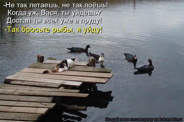 -Не так летаешь, не так поёшь! Когда уж, Вася, ты уйдёшь? Достал ты всех уже в пруду! -Так бросьте ры... Котоматрица: -Не так летаешь, не так поёшь! Когда уж, Вася, ты уйдёшь? Достал ты всех уже в пруду! -Так бросьте рыбы, я уйду!