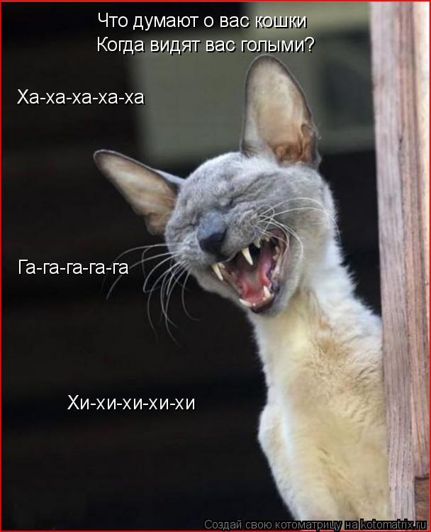 Котоматрица: Что думают о вас кошки Когда видят вас голыми? Ха-ха-ха-ха-ха Га-га-га-га-га Хи-хи-хи-хи-хи