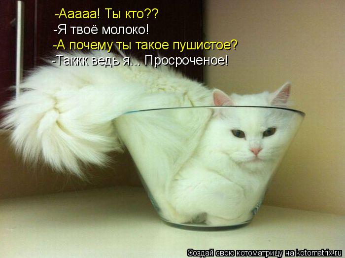 Котоматрица: -Ааааа! Ты кто?? -Я твоё молоко! -А почему ты такое пушистое? -Таккк ведь я... Просроченое!