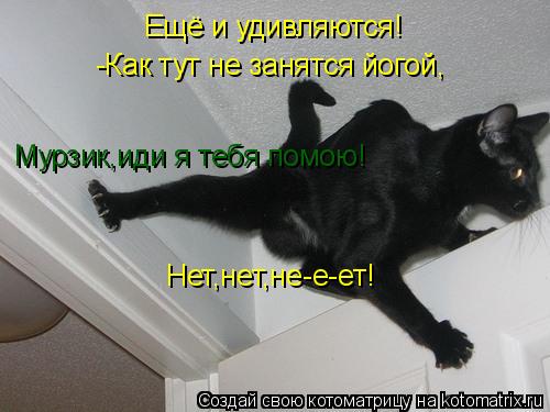 Котоматрица: Ещё и удивляются! -Как тут не занятся йогой, Мурзик,иди я тебя помою! Нет,нет,не-е-ет!