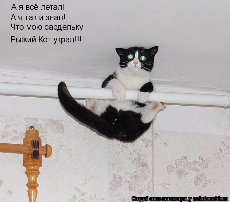 Котоматрица: А я всё летал! А я так и знал! Что мою сардельку Рыжий Кот украл!!!