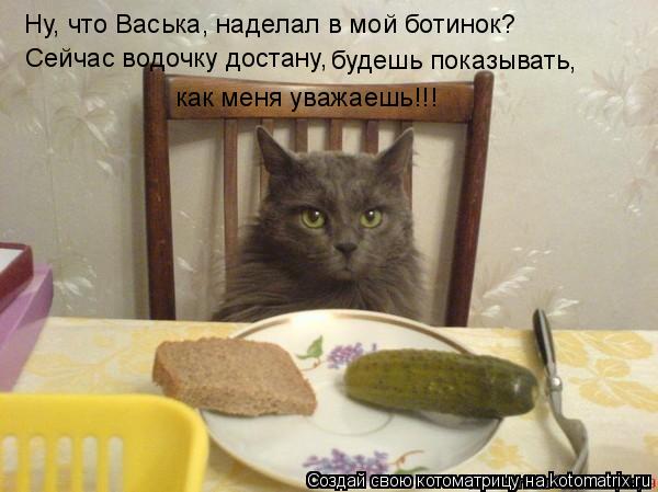 Котоматрица: Ну, что Васька, наделал в мой ботинок? Сейчас водочку достану,  будешь показывать, как меня уважаешь!!!