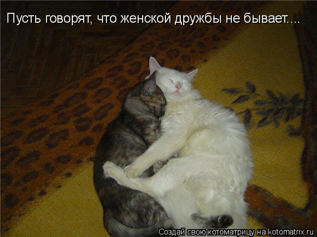 Котоматрица: Пусть говорят, что женской дружбы не бывает....